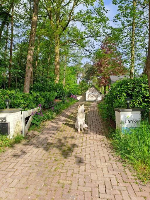 Lanke Garden Studio Rijsbergen Exterior photo